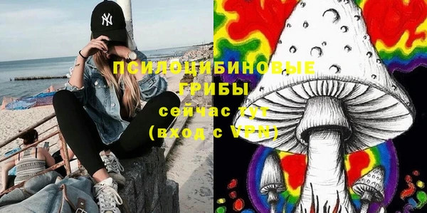 дмт Абаза