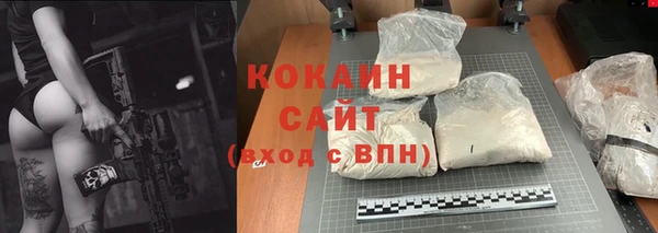 дмт Абаза