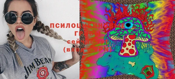 дмт Абаза