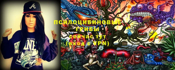 дмт Абаза